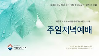 지금은 주의 성령이 임한 상태입니다(눅4:18-19)-250105 예닮중앙교회 주일저녁예배-이용우 목사