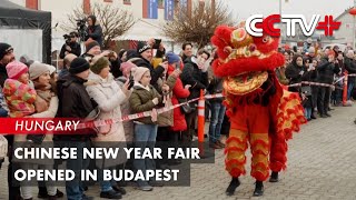 Chinese New Year Fair Opened in Budapest