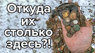 Странное место. Куча кошельков на лесной дороге! Откуда их столько здесь?! 3