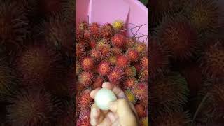 පැණි බේරෙන දකුණේ මස් රබුටන් | Rambutan Yammy mmmm.... #dilminiworld #shorts #rambutan #tastyfruit