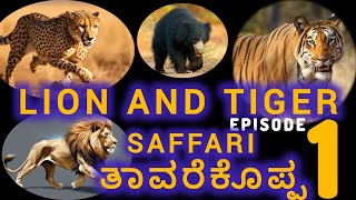 Lions \u0026 Tigers: The Ultimate Safari Experience |Thavarekoppa EPI 01