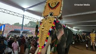 Mangalamkunnu Ayyappan 2022 | Kuzhur Ekadashi Maholsavam