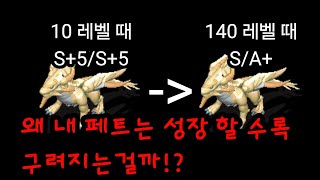 스톤에이지 이론)S급 기준 성장 매커니즘.