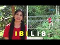 ibilib what force helps the suspension bridge stay up bilibabols