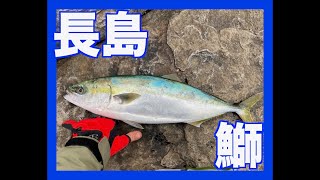 なかなか釣れない中なんとか一匹！【長島釣り】【青物】【ヤズ】