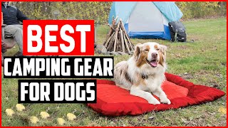 ✅Top 5 Best Camping Gear for Dogs in 2022