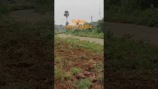 1.85 ஏக்கர் மொத்த விலை 72 லட்சம் #beautiful #farmland #land #viral #trending #below50laks #good