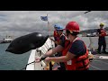 coast guard cutter oliver berry conducting routine operations in pacific