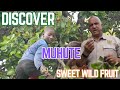 Muhute: Chidyo Chemusango