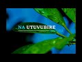 Utuvubire Imvura By Aime Uwimana(official Lyrics By @Brave)