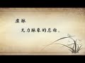 李灿东讲中医诊断学 067 脉诊（十）