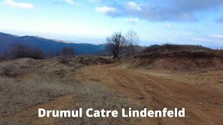 Drumul Catre Lindenfeld