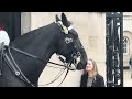 love at first sight is real caught on camera at the horse guards