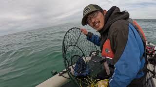 WINTER Dungeness Crab on the KAYAK (SF Bay AREA)