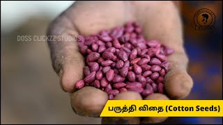 Episode -1 | விதை முதல் பருத்தி வரை | Series | Cotton production in Village | Tamilnadu