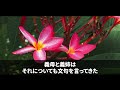 【スカッと感動】頻繁に泊まりに来る義家族…義姉「いつも悪いわね！」夫「2週間ゆっくりしてな！」⇒私が姉を泊めたいと言うと…夫「えぇ～気ぃ遣うから止めてよ」私「は？」【スカッとする話】