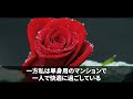 【スカッと感動】頻繁に泊まりに来る義家族…義姉「いつも悪いわね！」夫「2週間ゆっくりしてな！」⇒私が姉を泊めたいと言うと…夫「えぇ～気ぃ遣うから止めてよ」私「は？」【スカッとする話】