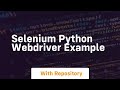 selenium python webdriver example