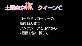 共同通信杯　京都記念　クイーンカップ予想