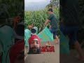 ਮਁਕੀ ਵੱਢਣ ਵਾਲੀ ਨਵੀ ਤਕਨੀਕ ਆ ਗਈ ਐ agriculture machine corn farming easy diy farmers