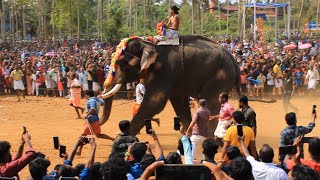 😳😳😳ആന ഓടിയ ആ ഓട്ടം 🔥 | പിടിക്കപ്പറമ്പ് ആനയോട്ടം | വടക്കുംനാഥൻ ശിവൻ ഒന്നാമത് |   #venjamaram #aana