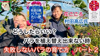 【植え替えしないバラの対処法】🔰必見.冬に植え替え出来ない時のバラの対処法　#ばら栽培　#花ごころ