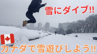 バンクーバーの雪はどれくらい??雪の日の過ごし方!!【カナダ生活】