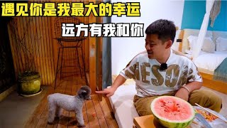 【贵宾犬仙儿特辑】还好一路上有你的陪伴，遇见你是我最大的幸运，星辰和大海我和你【半仙游记】