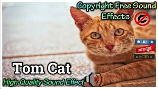 Tom Cat Meows Sound Effect | High Quality  Sound | NCS Effects | Royalty Free #soundeffect #ncs