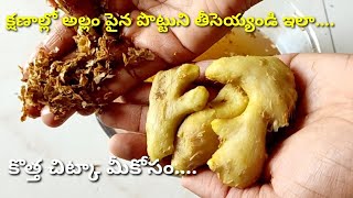 సులువుగా అల్లం పైన పొట్టు తీయడం ఎలా 🤔... // How to peel ginger easily.....