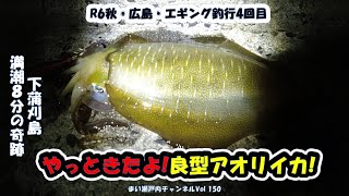 やっと釣れた!良型\