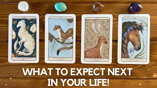 *1-11 Special* What To Expect Next in Your Life?! ✨🌟 👈✨