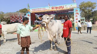 రెంటచింతల గ్రామము జూనియర్ విభాగం  2వ జత యర్రసాని.సుబ్బయ్య గారు పమిడిమర్రు గ్రామం పల్నాడు జిల్లా