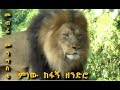 Mebrie Mengistie - Minew Kefagn Zendro | መብሬ መንግስቴ - ምነው ከፋኝ ዘንድሮ | Ethiopian Traditional Music