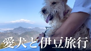 🐶A scenic resort with a view of Mt. Fuji🗻!!vol.2