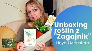 Unboxing roślin z \