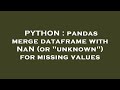 PYTHON : pandas merge dataframe with NaN (or 