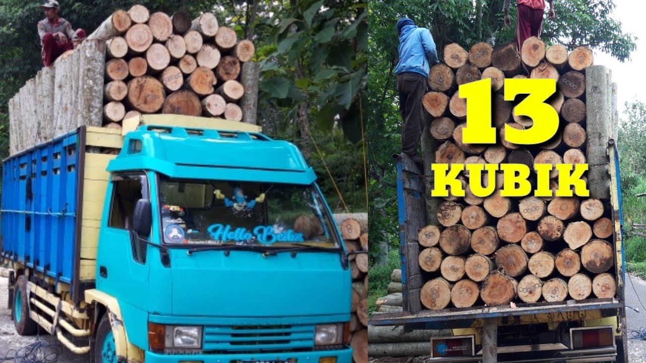 Truk Muat Kayu Sengon Super 13 Kubik - Truk Kayu Sengon - YouTube