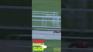 dog racing - Track Speed