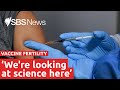 No evidence COVID-19 vaccines impact fertility | SBS News