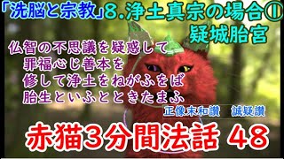 赤猫3分間法話 48 「洗脳と宗教」8 浄土真宗の場合① 疑城胎宮