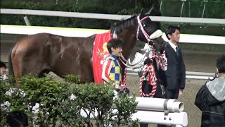 東京スプリント　優勝馬　シャマル号　2022年4月20日（水）大井競馬場