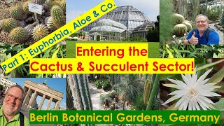 BOTANICAL GARDEN BERLIN Cactus Succulent Collection PART 1 #succulents #greenhouses #visitberlin