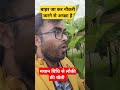 मचान विधि से लौकी की खेती कितना मुनाफा हुआ shorts ytshorts shortvideo lauki