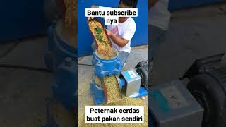 peternak cerdas buat pakan sendiri #ulu#kub#joper#aka#aky