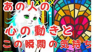 あの人の心の動きとこの瞬間の気持ち見た時タイミング 【直接気持ちを聞けないお相手】#あの人の気持ち#ワラコリーディング #ハリネズミたちのジレンマ