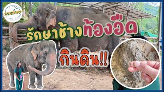 เมื่อเจ้าช้าง ท้องอืด และกินดินที่มีเชื้อโรคเข้าไป!! | หมอโบว์ หมอตัวเล็กกับคนไข้ตัวใหญ่