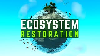 Why Ecosystem Restoration Matters: Saving Our Planet's Future