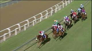 20200628 Hollywoodbets Greyville express clip Race 5 won by SILVANO'S PRIDE