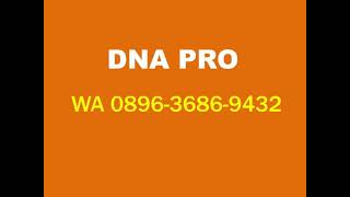 WA 0896-3686-9432, Dna Pro, Dna Pro Forex, Dna Pro Akademi Ojk